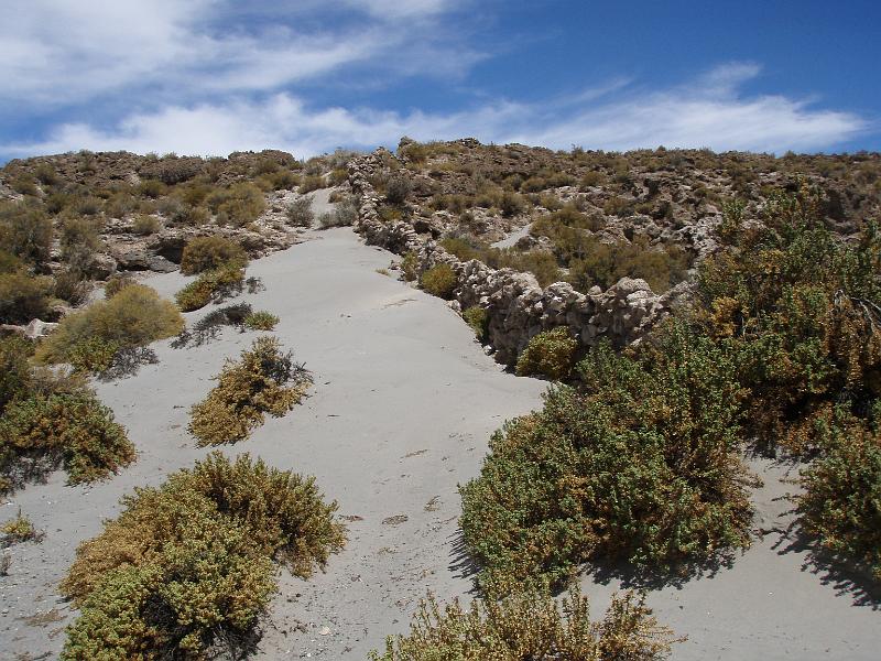 Coipasa Salt Flats (26).JPG